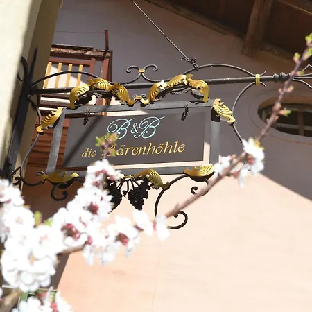 Bed & Breakfast La Tana Dell'orso - Baerenhoehle Castello-Molina di Fiemme